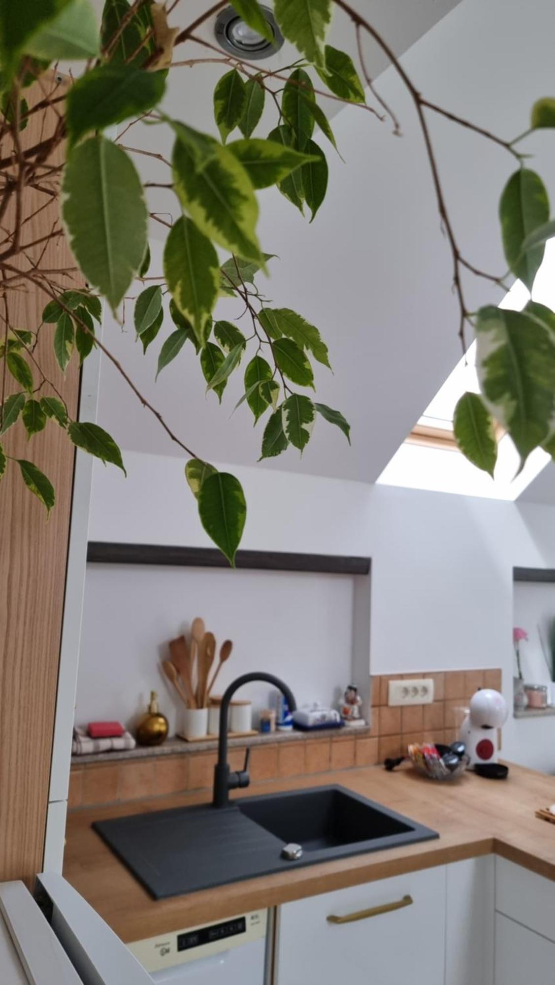 Apartma Katarina Bled Dış mekan fotoğraf